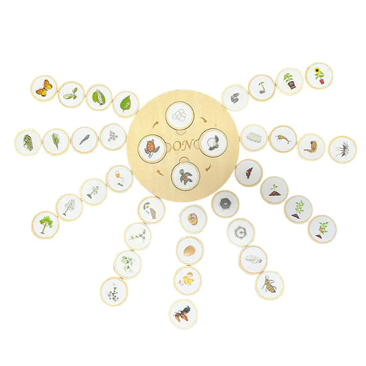 Montessori Wooden Animal Life Cycle Puzzle for Kids