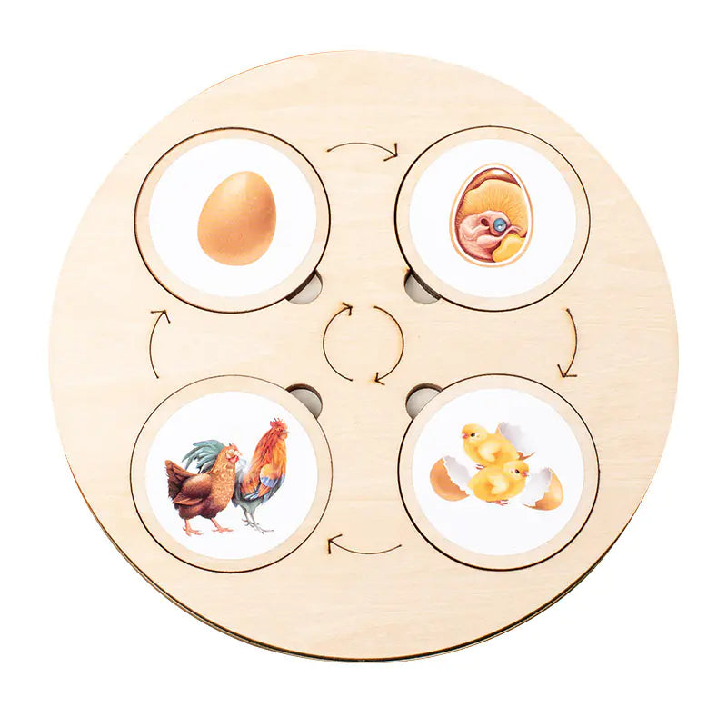 Montessori Wooden Animal Life Cycle Puzzle for Kids