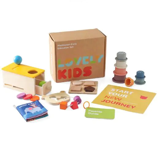 EcoWonder Montessori Shape Recognition Set