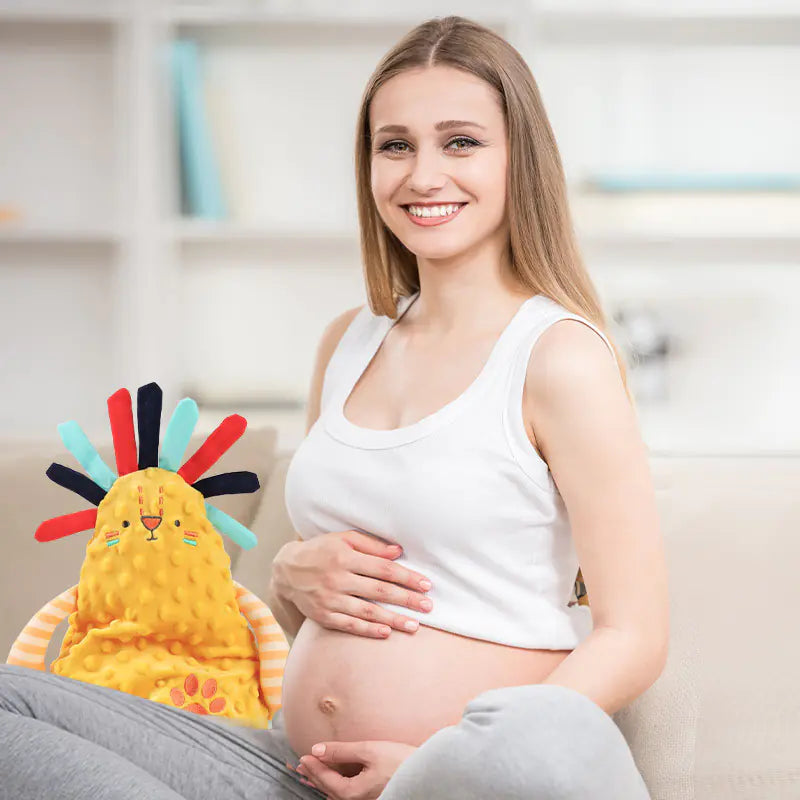 Kawaii Bunny Ears Baby Comfort Towel and Teether Toy