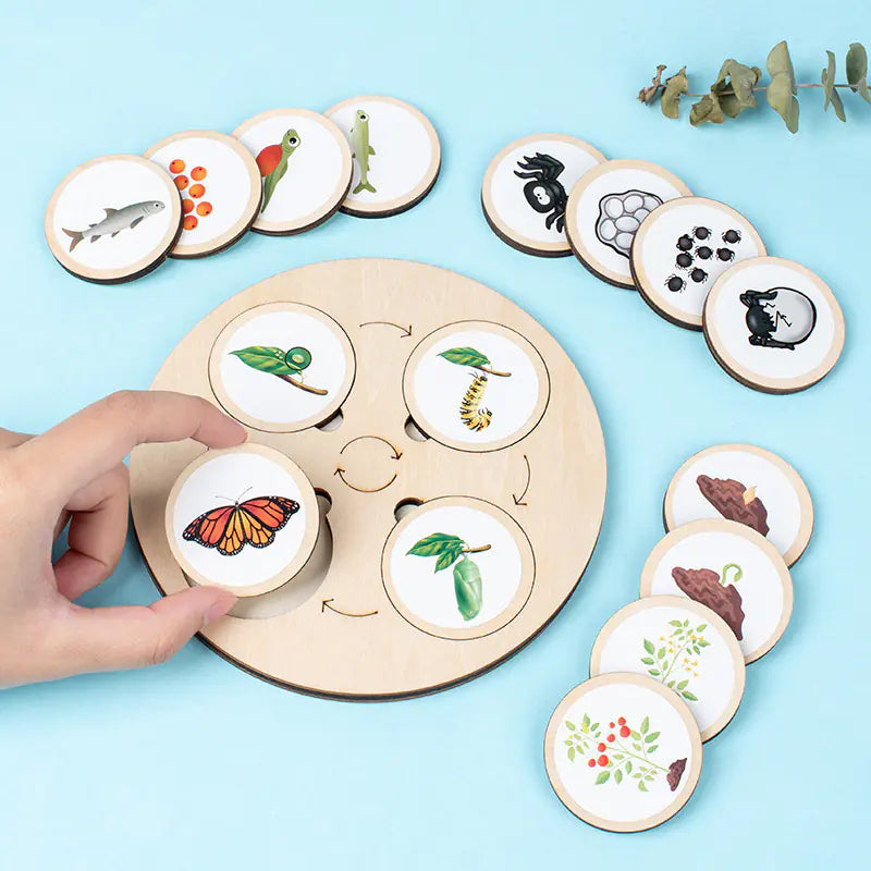 Montessori Wooden Animal Life Cycle Puzzle for Kids