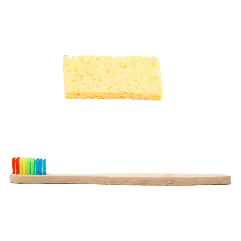 Children's Toothbrush Set with Dental Model